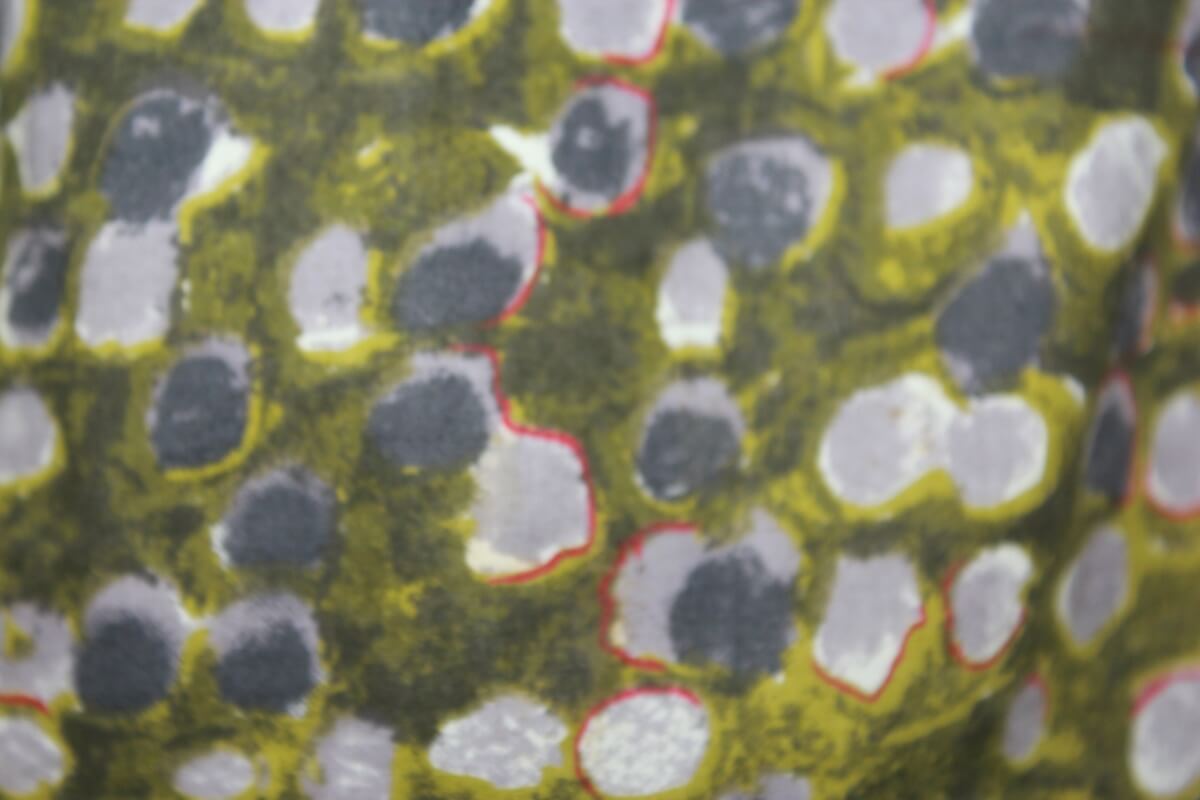 tweedehands katoenen rok in multicolour van bonpoint in maat 98-104